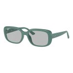 Rayban 4421D