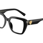 Dolce & Gabbana DG3441 - 501